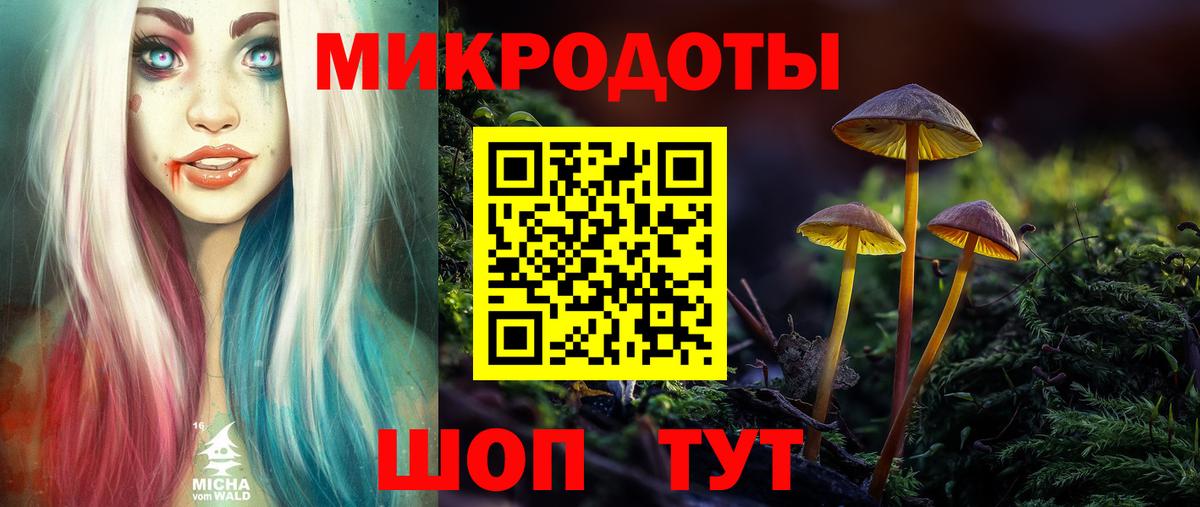 Псилоцибиновые грибы мицелий Пугачёв