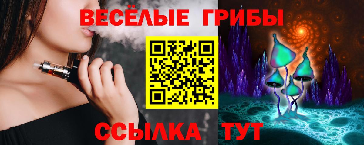 Пугачёв  Псилоцибиновые грибы MAGIC MUSHROOMS  Вход с VPN 