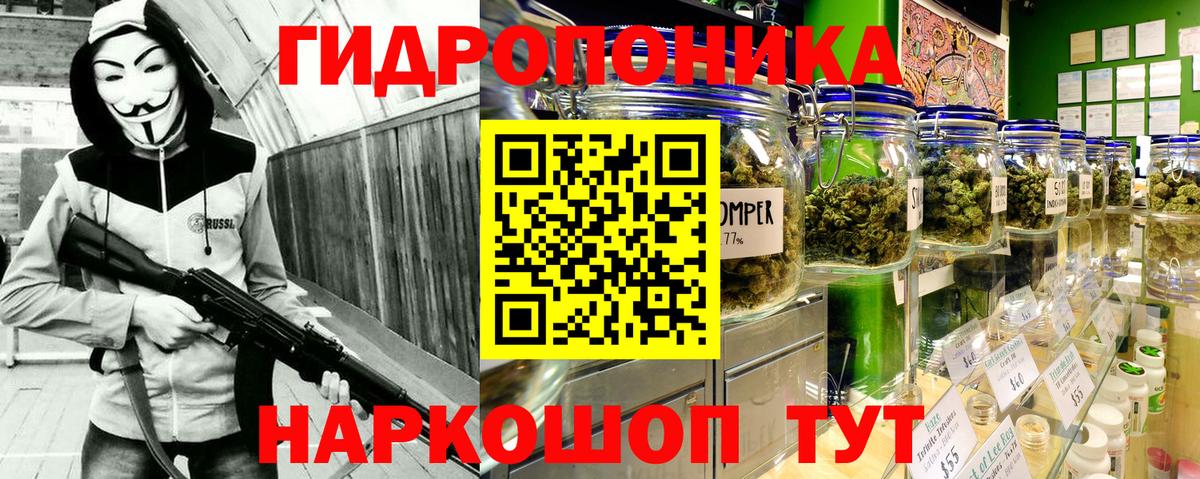 Бошки марихуана Bruce Banner  Марихуана марихуана  Пугачёв  Вход с VPN 